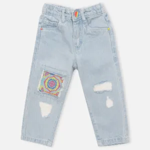 Blue Embroidered Denim Jeans