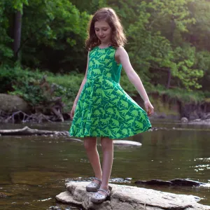 "Land Before Lime" Dinosaurs Skater Play Dress with Pockets